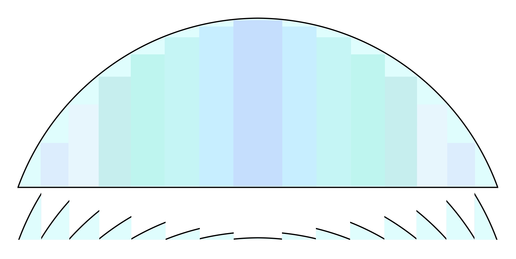 Fresnel diagram
