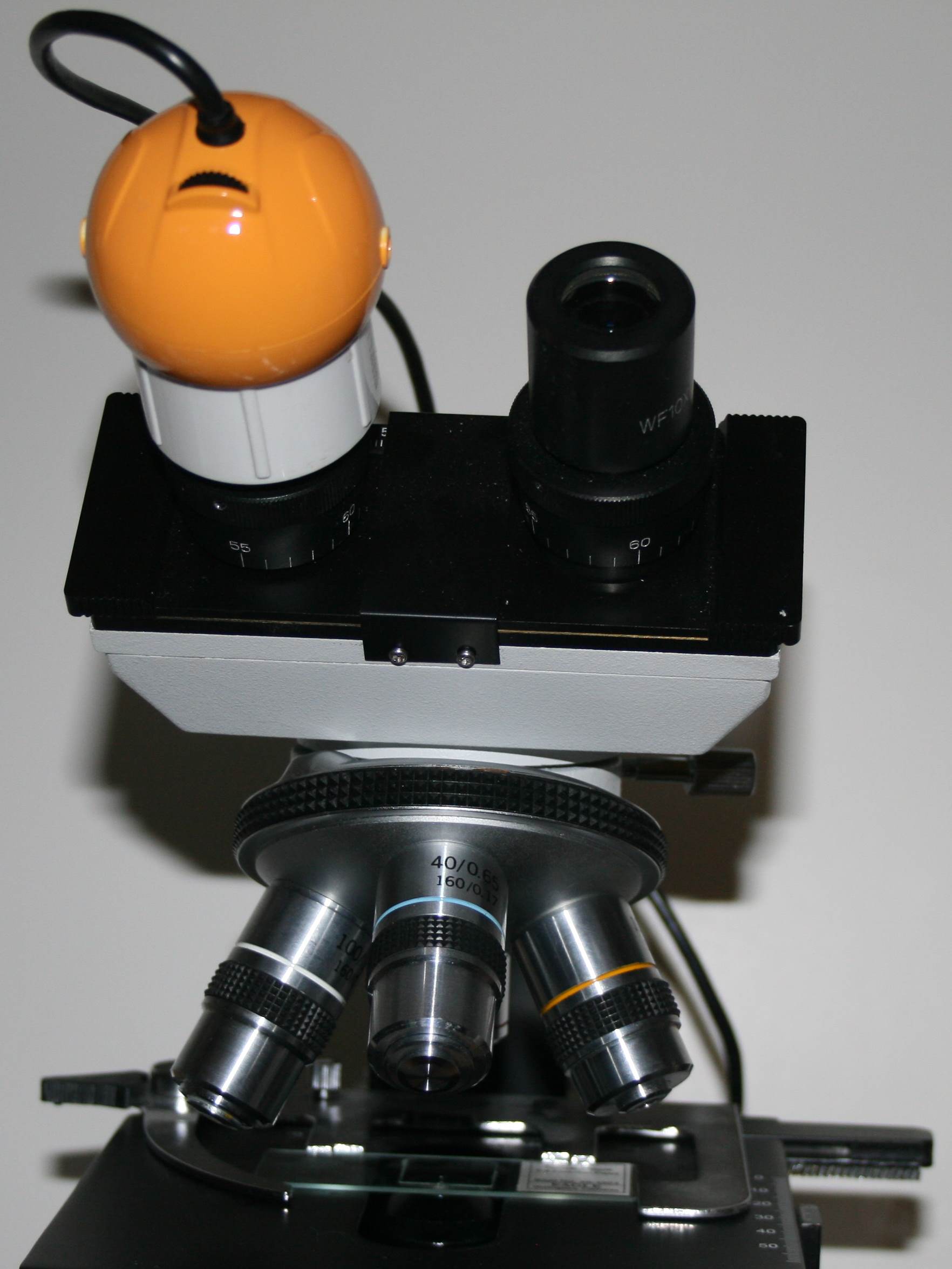 Webcam on microscope eyepiece